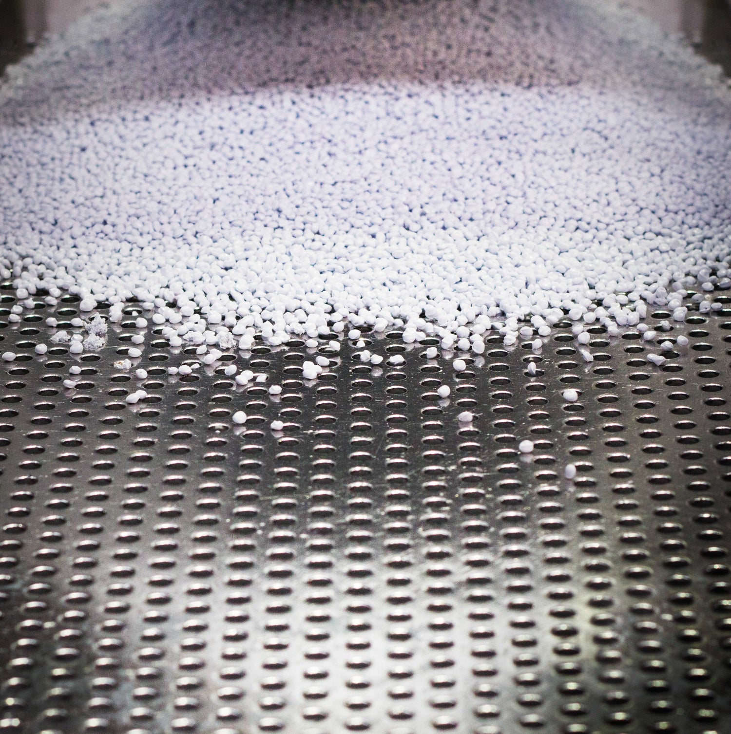 &lt;White small mini-tabs or pillules being poured onto a stainless steel mold with rows and rows of round holes to take one pillule. Credit&gt; AdobeStock_253324940