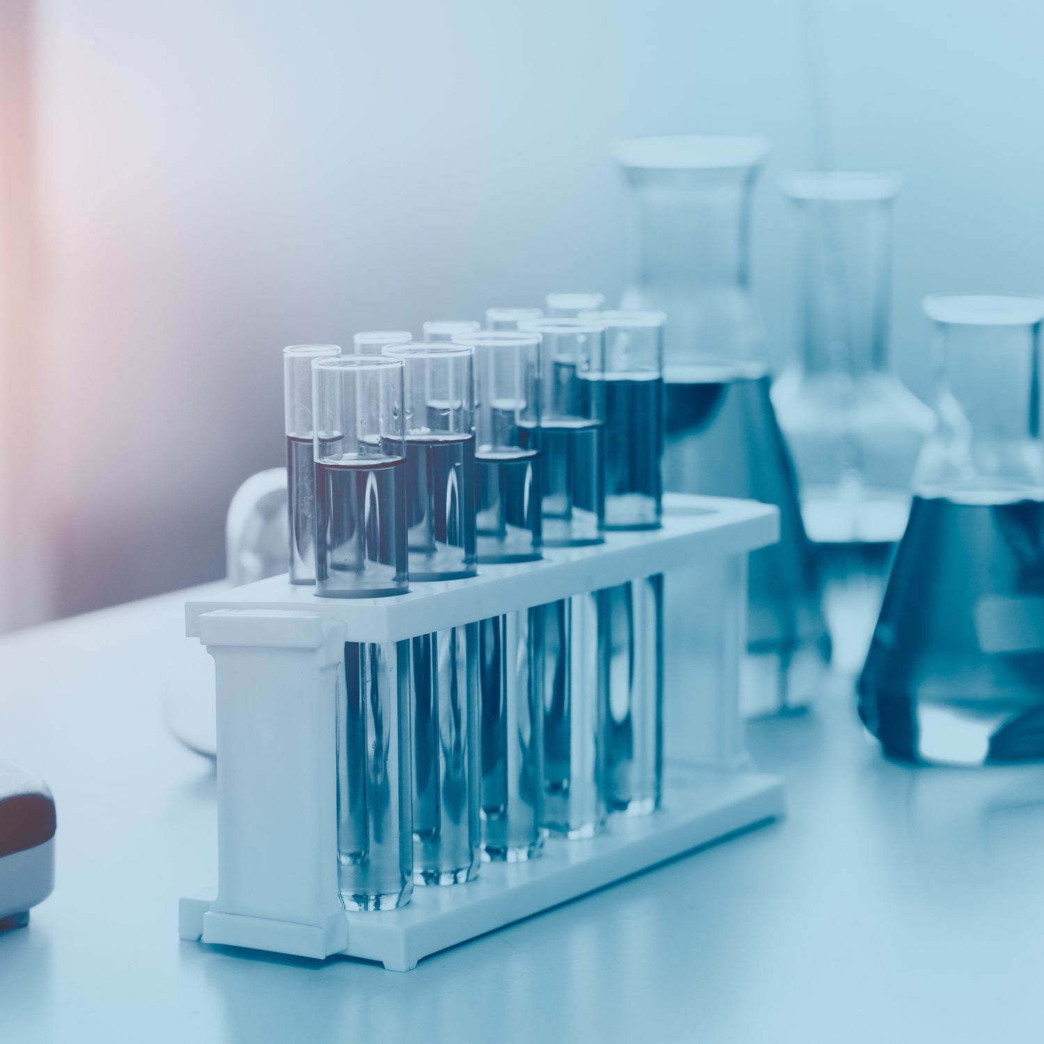 &lt;Two rows of five glass test tubes in a white rack and three large glass conical flasks all containing a pale indigo blue solution, sitting on a white lab surface. Credit&gt; AdobeStock_278678145