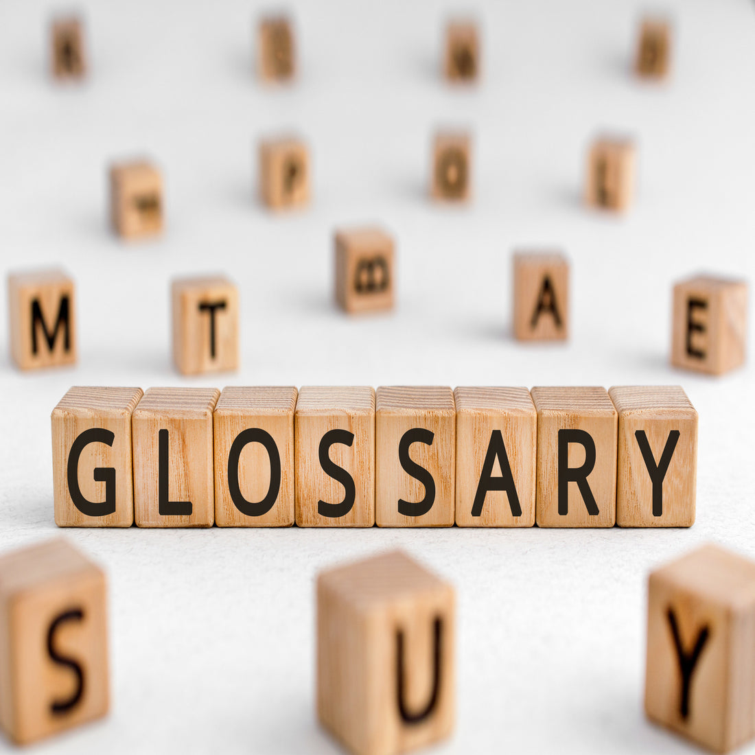 &lt;Wooden blocks with letters spread on a white table with some lined up to spell Glossary. Credit&gt; AdobeStock_330126807