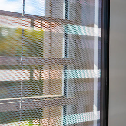 &lt;Insect guards or fly screens fitted to outside office windows to prevent flying insects entering the building. Credit&gt; AdobeStock_348106214