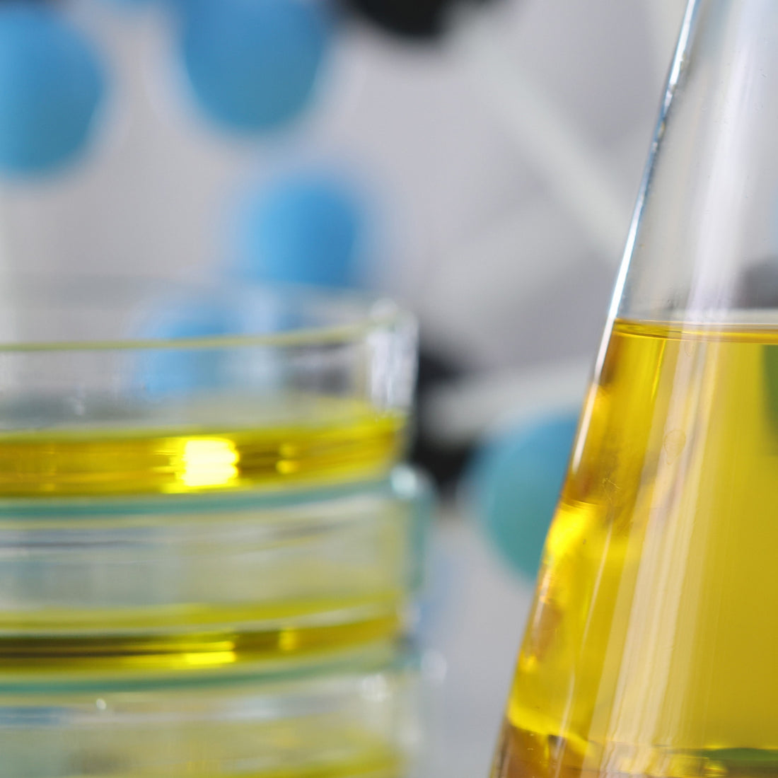 &lt;Close up of sample of yellow amber coloured, clear liquid in a flask and being examined in petri dishes. Credit&gt; AdobeStock_395499689