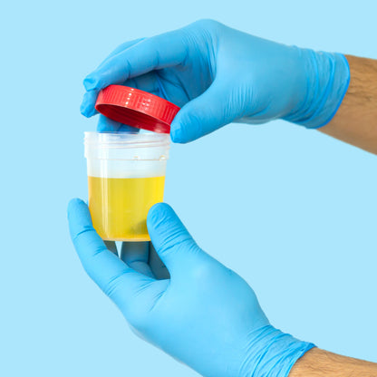 &lt;Against a light blue background, two hands of a warehouse operator, wearing blue gloves, putting the red lid on a plastic sample pot containing an amber coloured liquid. Credit&gt; AdobeStock_410441980