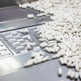 <White oval capsules being spread on a stainless steel surface and being directed  by hand into molds for packing blister foil sheets. Credit> AdobeStock_419535586