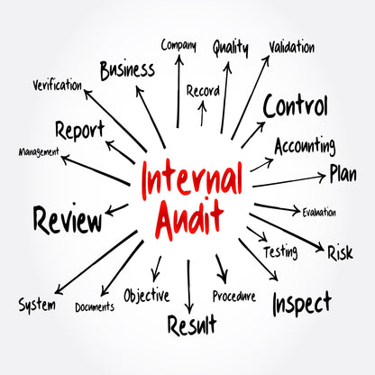 &lt;Hand written schematic of all the outcomes people want from an Internal Audit including result, risk, and plan. Credit&gt; AdobeStock_428406427