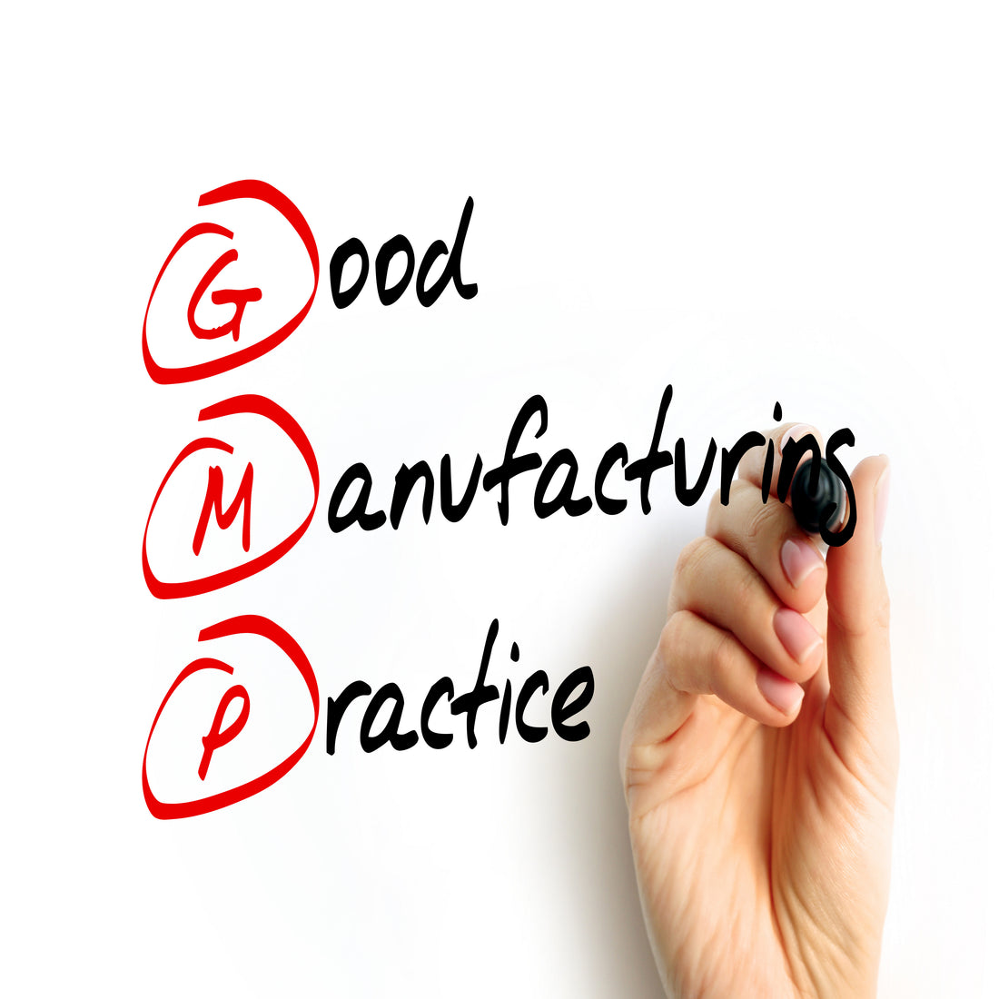 &lt;Hand with marker pen writing Good Manufacturing Practice in black on a glass screen, apart from the letters GMP which are circled and written in red. Credit&gt; AdobeStock_617711961