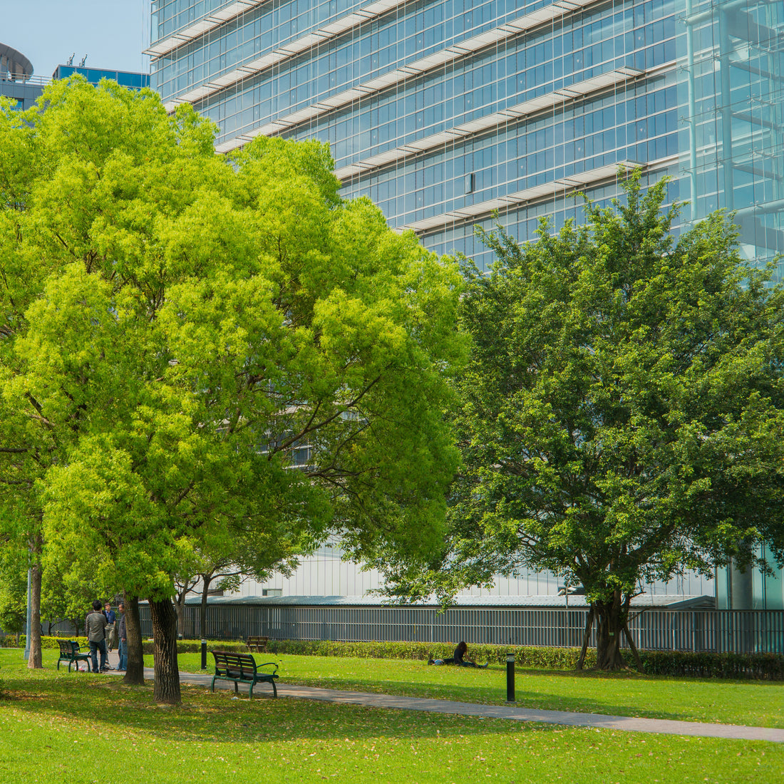 &lt;Modern glass office building in sunshine with a path, large green trees, grass and park benches outside. Credit&gt; AdobeStock_71224475