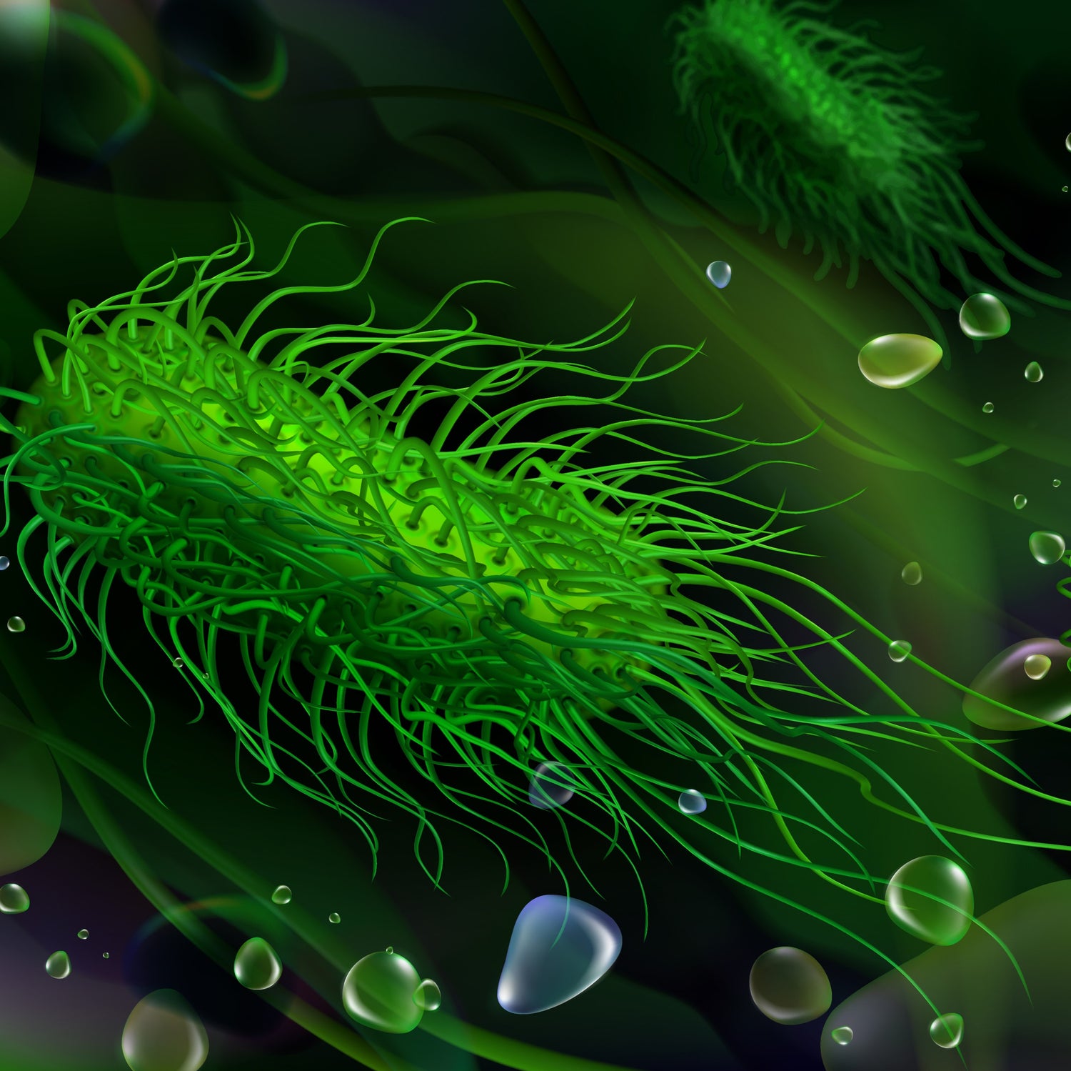 &lt;Microscopic illustration of a green Salmonella cell in motion, rod like with hairy filaments all over. Credit&gt; 141805297 © Igor Zakharevich
| Dreamstime.com