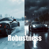 <Representing Robustness, black porsche or ferrrari sportscar high performing in extreme conditions of snow and ice in a pine forest on one side of the picture, and in dark, rainy motorway conditions on the other. Credit> Freepik